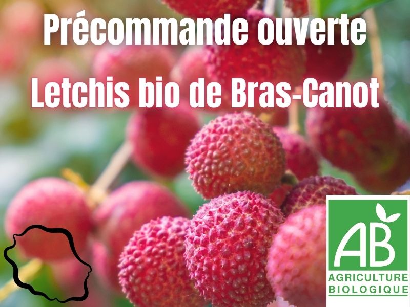 colis letchi bio de la réunion bras canot