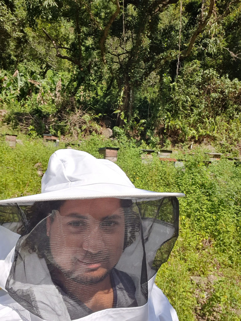 Emeric dans les ruches