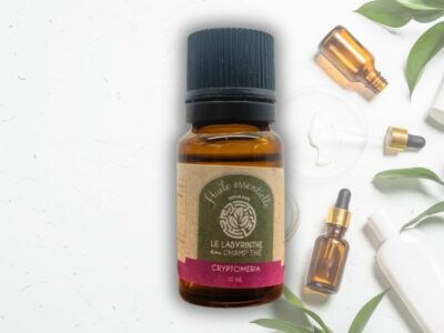 huile essentielle de cryptoméria de La réunion