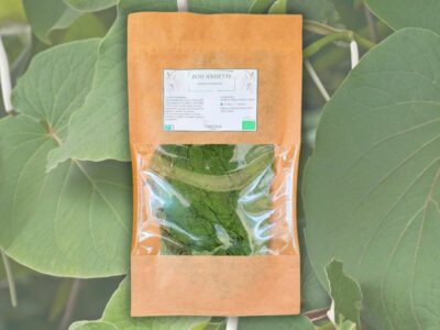 bois anisette de guadeloupe hoja santa