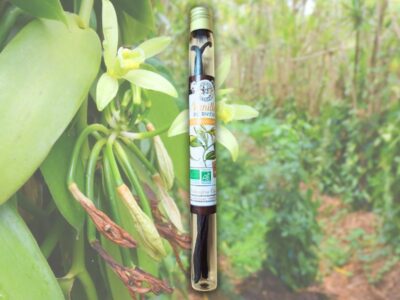 Vanille bio de Martinique - Herboristerie Créole