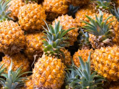 ananas victoria de la réunion